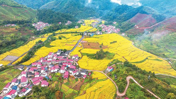 圖片3.jpg 圖片3.jpg